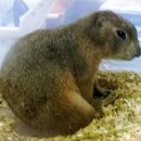 동방주유소 이미지