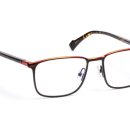 레이안경 이미지