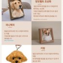 원데이클래스 이미지