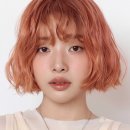 시즌헤어 - 안산시 단원구 | 시즌헤어