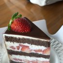 강남-205 이미지