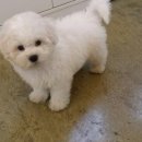 온양동물병원 이미지