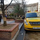 강남 경희대 태권도 이미지