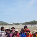 행정초등학교 - 2446 | 행정초등학교