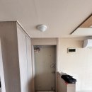 일진뜨리에 이미지