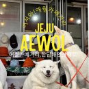 해안누리 | 애월 카페거리와 한담 해안 산책로 및 주차정보