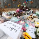 정인 이미지