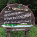 언택트세이프? 이미지