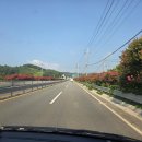 월곡영화골 | 전남 보성 여행 벌교 월곡 영화골 벽화마을