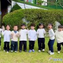 ✨🇰🇷 독도는 우리 땅 🇰🇷✨ 이미지