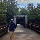 거창-신원-4 | 감악산 무장애길 가을 산책코스 전망 좋은 데크길 둘레길 트레킹