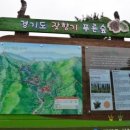 숲에향기 이미지