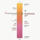 숨펄 산분에센스, 질염과의 사투끝에 만난 후기