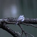 성용농장 이미지