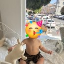 돌사진 후기 - 봉선동 베*아르 - 이미지