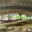 노루목농장 | [전남광주통합특별시 화순군] 화순 서유리 공룡발자국 화석산지