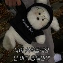 해오름달 이미지