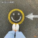 디원클린 이미지