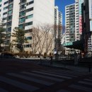 동성백두 이미지