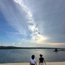 고선농장 | 무이네 지프투어 사막투어 선셋투어 코스 시간 기사님 팁