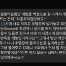 해피테일 네이버블로그