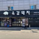 육감돼지 이미지