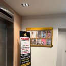 운동하는 날 day | MTO피트니스 정발산 등록후기 + 베어트레이너님 PT후기