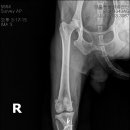 금빛동물수술센터 이미지