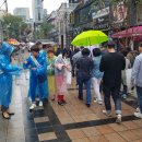 금산국제인삼시장(금산인삼국제시장) 이미지