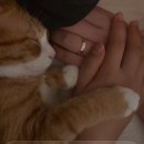 땡큐맘마 | D+72 접종열 없이 지나간 2개월 접종 후기, 접종열 해열제 먹이지마세요, 2개월 접종 종류