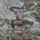 솔마루길 신선산 이미지