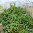 갯벌농장 이미지