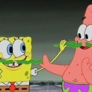 팍스디엠지 이미지