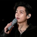 플라워스트리밍