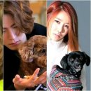 펫토리 OSEN