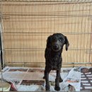 사림동225 이미지