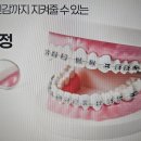 서울하얀나라치과의원 이미지