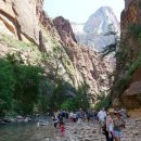 4-자이언 캐년(Zion Canyon) 소개 이미지