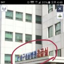 성심지물