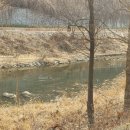 새들약국 이미지