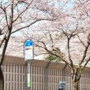 부산광역시 동구 홍곡남로 이미지