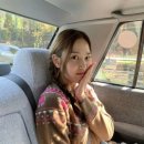 (장희령 착용) 베네통 양 자카드 나그랑 니트 브라운 구매 후기