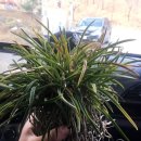 대주농장3 이미지