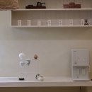 세종 리브위드 화분, 대전으로 배송받은 후기 (livewith plant)