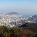 엄광산 동구경계 이미지