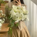 w 웨딩촬영 부케 후기, 화이트 그린 드롭 부케, 카라 부케ㅣ올로르 플라워