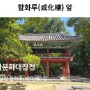 12/20[토무] 역사문화대장정12차(4곳)+대원사+함양상림+연곡사+조계산 선암사 -산행안내/좌석표 이미지