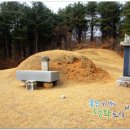 신호 묘 네이버블로그