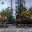 이마트(과천점) 이미지