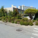 세화당한의원 이미지